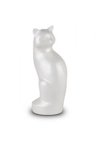 Urna de gato blanco